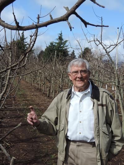 A slice of local life: Dr. Allan Henderson keeps tending his roots