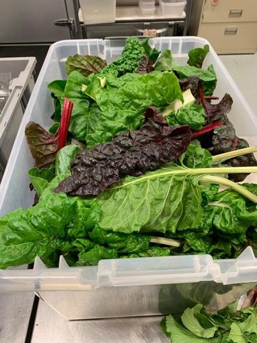 A10 FISH Food Bank - Swiss chard.jpg
