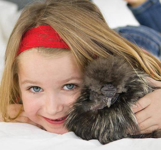 Dallas wins Dufur rooster battle