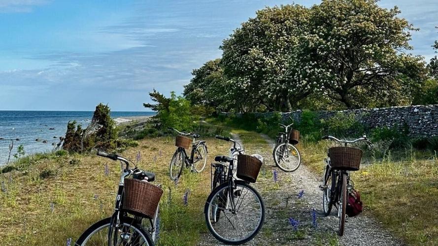 Guided Bike Safari in Fårö