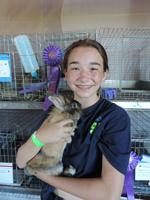 At the Fair: 4-H’ers explain rosettes and other animal facts