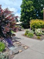 Master Gardeners love a challenge — and so do these plants