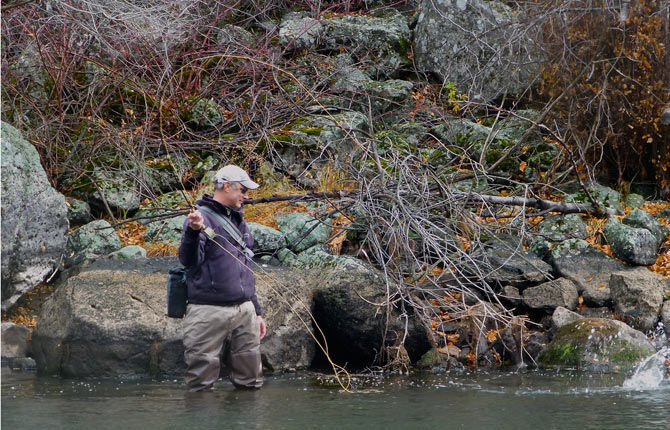 Boise River shows hopeful signs after wildfires