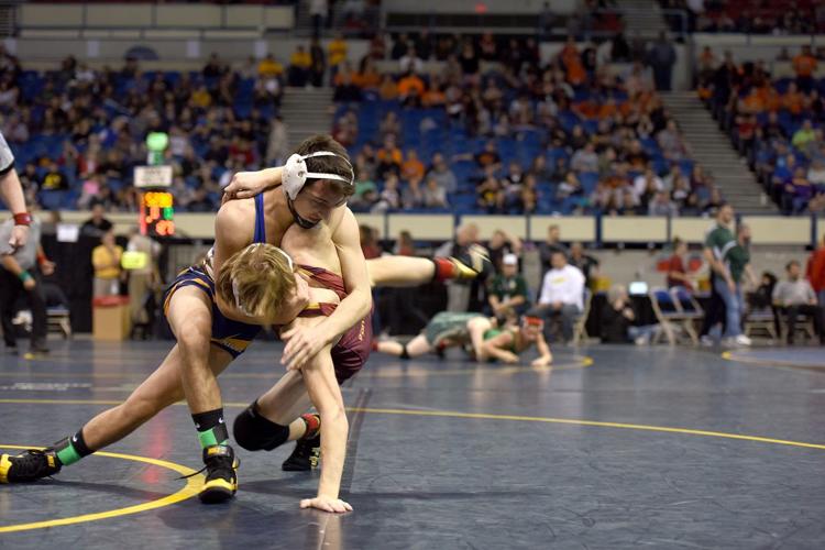 HRV wrestlers find the podium at state champs