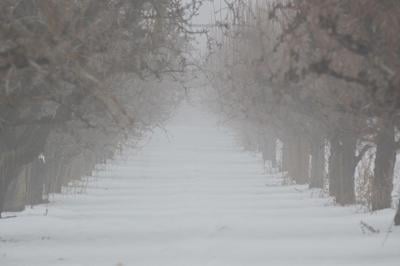 A10 mental health.JPG