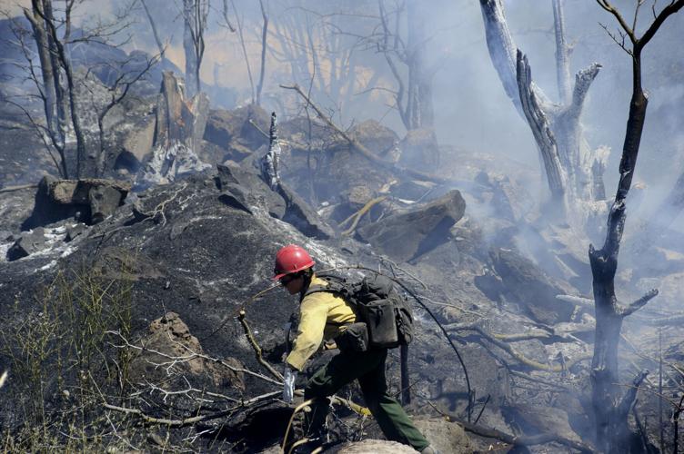Brush fire The Dalles