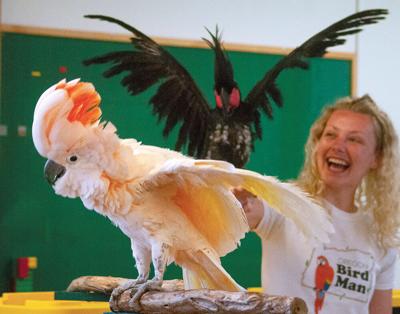 The Dalles library program