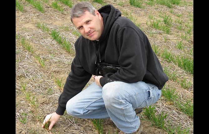 Winter molds, fungus concern farmers