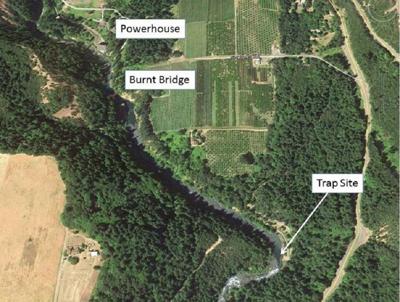 Boaters beware of trap on White Salmon River