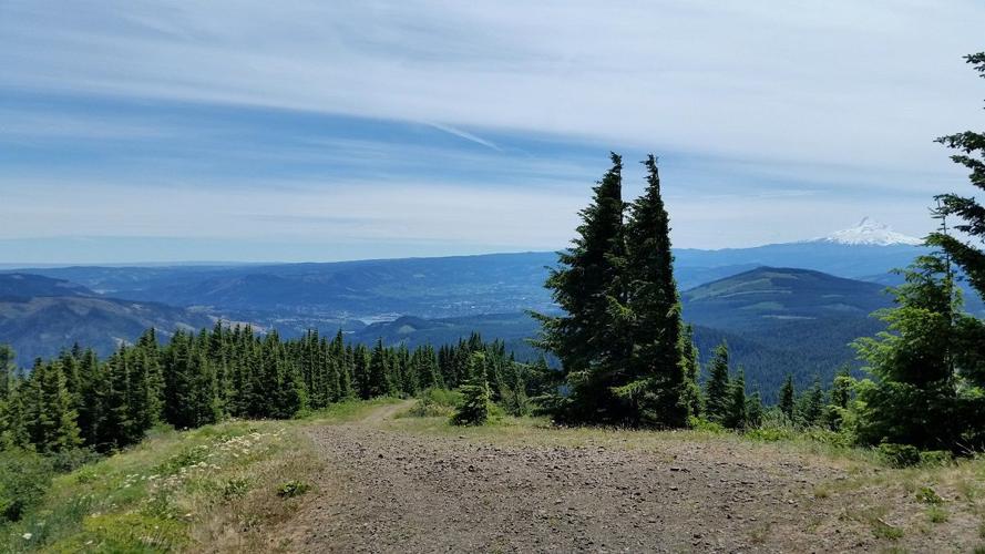 Gorge Explorer: Nestor Peak; Valley views worth the hellacious climb