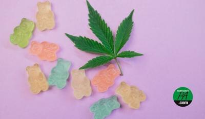 weed gummies_2025