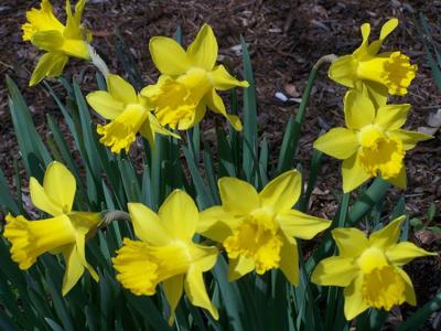 Photo: A moist start to spring