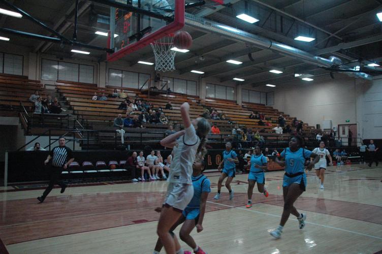 DSC_0058 - Copy (3) 1.jpeg