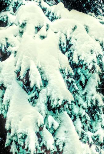 Readers’ photos say, ‘Happy mid-winter, wherever you are!’