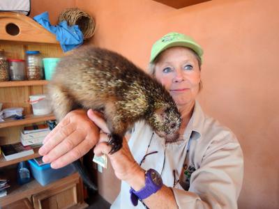 Kaleidoscope: A ‘rest’ becomes a life’s work