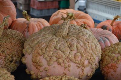 Pumpkins