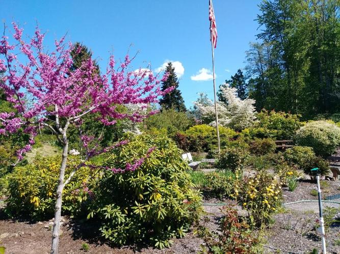Master gardeners 1.jpg