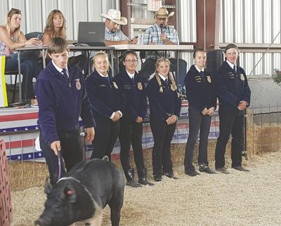 Donated Hog Fetches $11,251 for CHS FFA Chapter