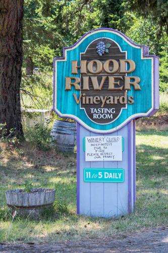 A1 Hood River Vineyard (1).jpg