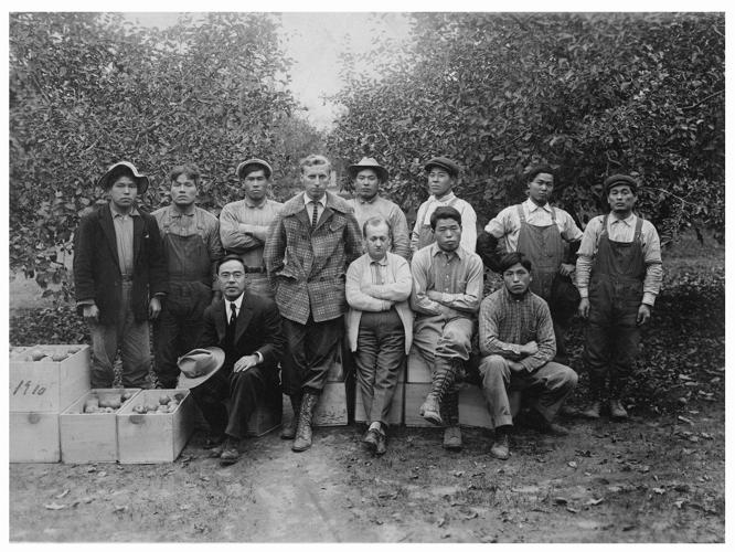 Roots and Branches: A grand mural