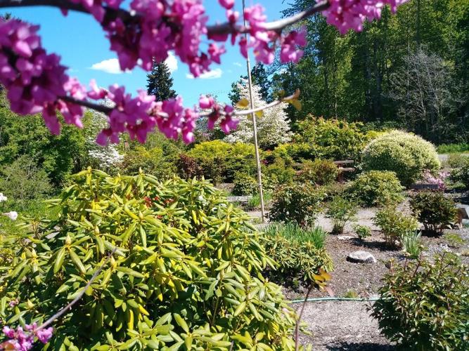 Master gardeners 4.jpg