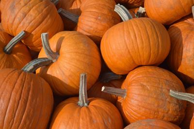 Fest, Fair this weekend: Autumnal events abound