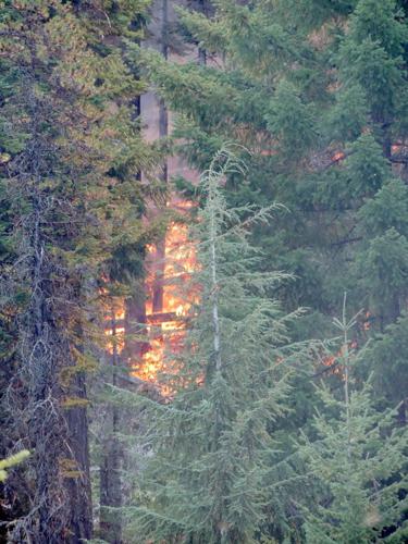 Road 44 Fire defeated
