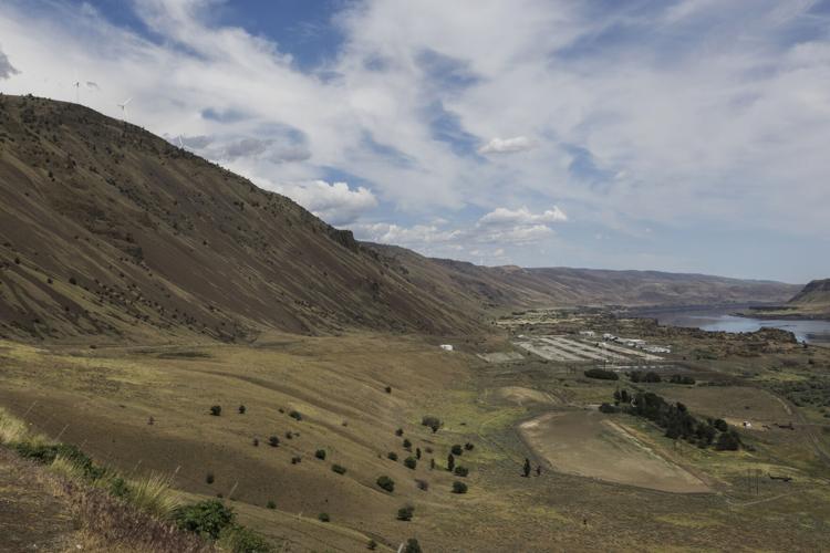 Goldendale Project_02_Rye Development.jpg