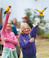 County fairs of 2024