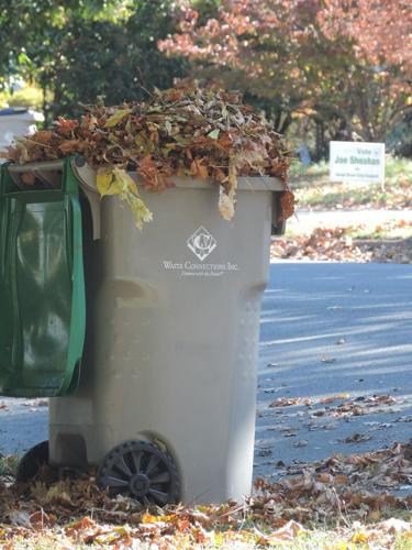 A8 SAIF safe fall, leaves.JPG