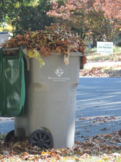 A8 SAIF safe fall, leaves.JPG