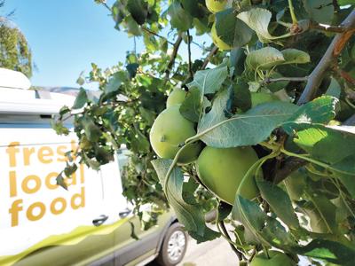 Gorge Gleaning