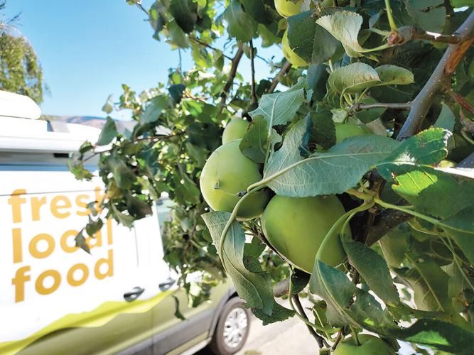 Gorge Gleaning