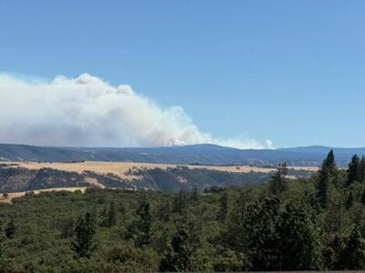 Grasshopper fire