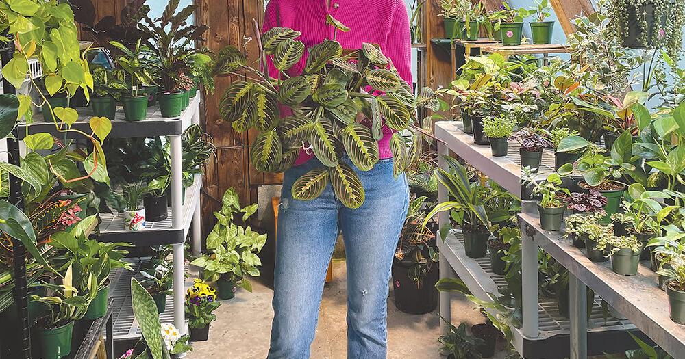 Gorge Local - In Business: Plant Smiles Greenery: Plant shop, green thumb resource - Vimarsana News