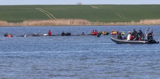 Two wealthy entrepreneurs financed the rescue operation