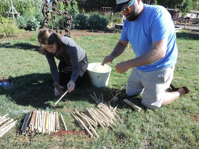 Pollinators: students create art with function