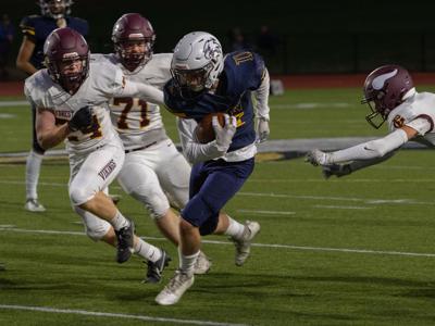 TobyStinzi_ForestGrove