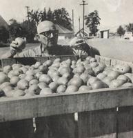 Yesteryears: Sign ordinance proposed in 1959