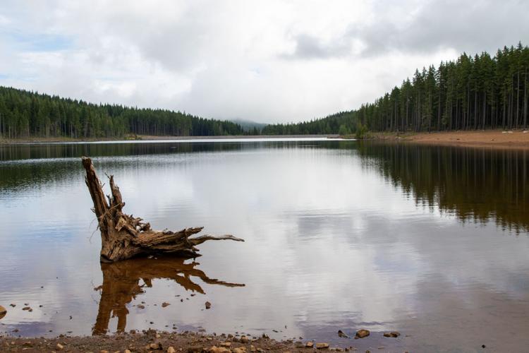 Campsites added at Kingsley Reservoir Environment