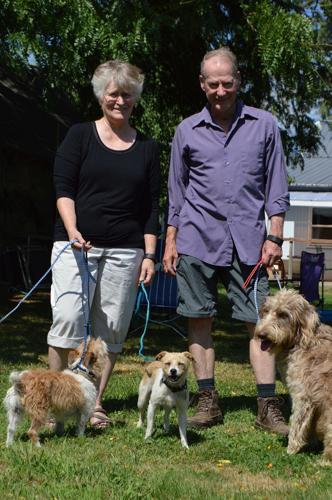 The dogs are going to the Berens