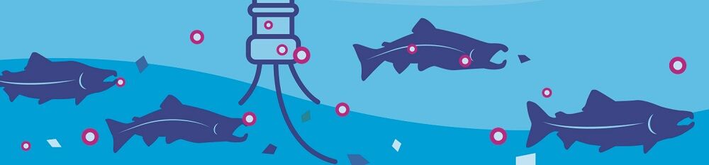 Riverkeeper graphic.jpg