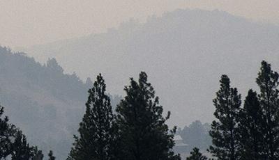 Fighting fire with trust