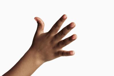 Hand development is shaped by evolution, biology and environment.