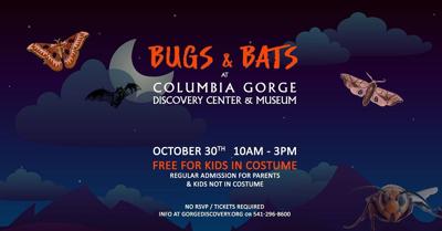 Bugs & Bats Discovery Center