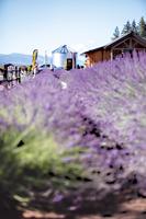 Fundraiser for children’s advocacy