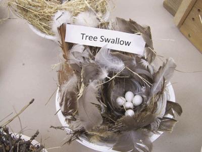 Nature series lecturers present ideas for improving the lot of local wildlife