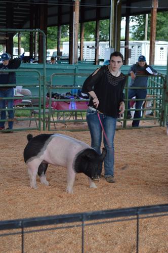 A ‘Classic’ Begins: Teen brings Jackpot livestock tradition to Hood River County