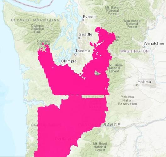 Tunnel 5 Fire update July 4