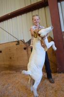 2015 Hood River County Fair, 4-H results, continued